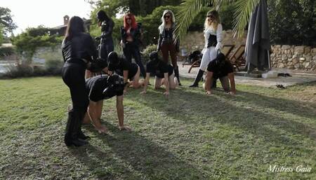 MISTRESS GAIA - PONYBOY RACE - HD