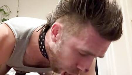 Dog for Alpha Master