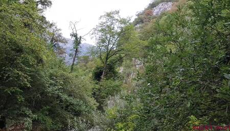 Nicky Walk Around to Find Place for a Blowjob