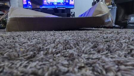 food and object crush - Goddess MXDominion Stomping Boxes in Black Dr Martens Boots 1080, foot domination, boot domination, crush 4k