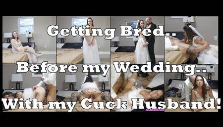 Getting Bred by my Bull on my Cuck Wedding Night