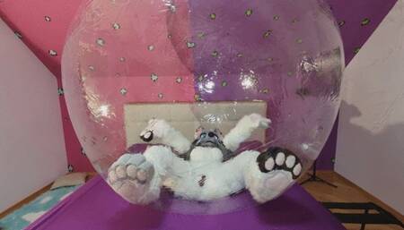 Furry in Rubber Ball