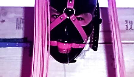 Sissy Maid Self Bondage Predicament