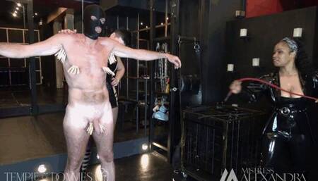 Nipple twisted made shoe hanger and CBT test resistance by Mistress Alexandra and Mistress Ariana