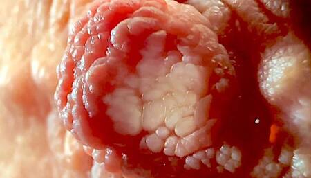 Extreme Close Up on My Nipples Play I think you never see it (wmv)