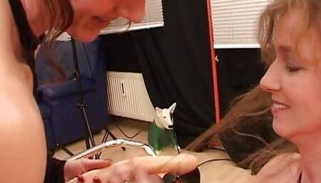 Two German sluts are getting assfucked in a hot orgy