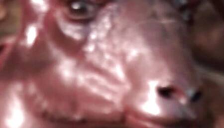 Cheating husband gives the busty blonde an outdoor anal pounding that she will always remember