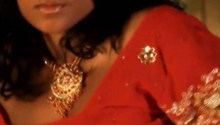 Seriously Sensual Indian Brunette Beauty