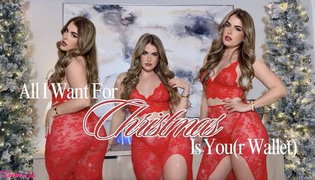 All I Want For Christmas Is You(r Wallet)
