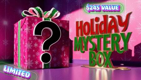 Holiday Mystery Box One: $245 Value!