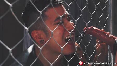 YOSHIKAWASAKIXXX - Top Gay Yusaku Kaga Dominates Yoshi Kawasaki