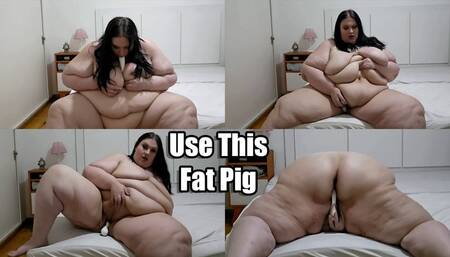 Use This Fat Pig