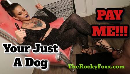 Caged, Leashed, and Taken for a Walk: Go Ahead Act Like a Dog - Goddess Rocky Foxx