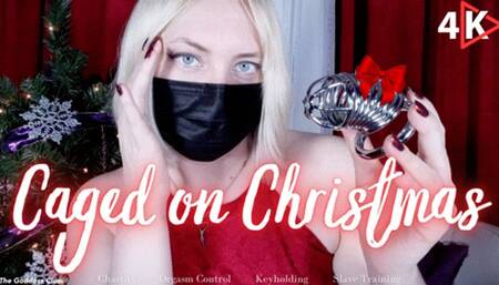 Caged on Christmas - 4K - The Goddess Clue, Chastity Slave Training for the Holiday Season, Orgasm Control, Erection Denial, Long Term Chastity, Playful Keyholder, Holiday Themed