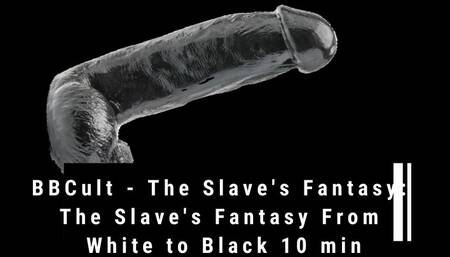 BBCult - The Slave's Fantasy: The Slave's Fantasy From White to Black 10 min