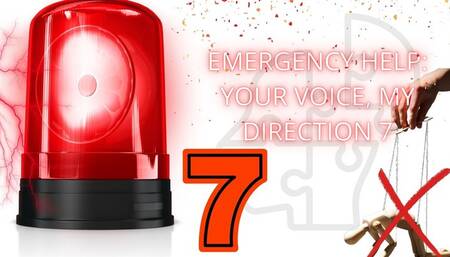 Emergency Help: Your Voice, My Direction 7