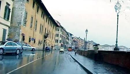 Toro da monta Sc 2 lewd orgy