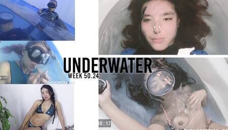 Compilation Underwater clips week 44 to week 50