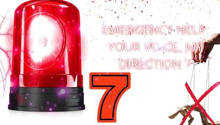 Emergency Help: Your Voice, My Direction 7