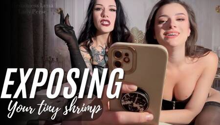 POV: Exposing your tiny dick! Double humiliation & blackmail with Lady Perse