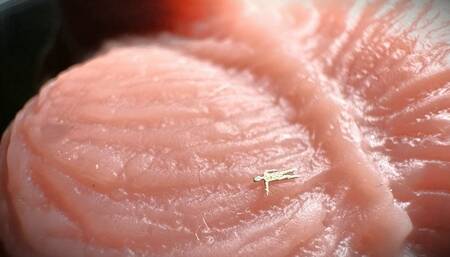 Shruken and stuffed down a cock to become sperm