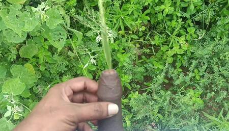 Peeing in a  Field