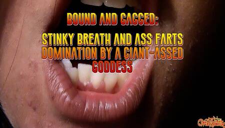 Bound and Gagged: Stinky Breath and Ass Farts Domination by a Giant-Assed Goddess (Mobile Version)