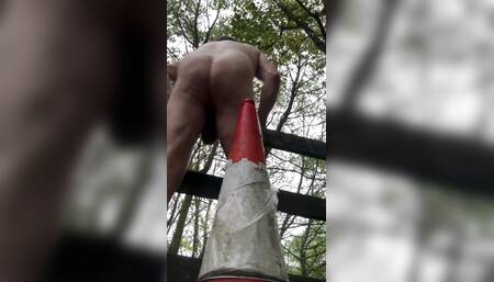 anal fun with branch of tree in the forest