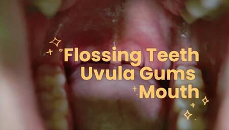 Savory Flossing Uvula and Mouth Tour Gum Stretching Sensations MP4 1080X1920 Ultra HD