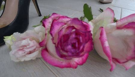 TRAMPLE FLOWERS WITH SHOES (t)