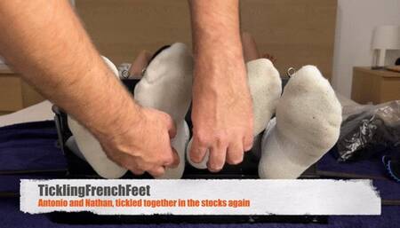 Antonio and Nathan tickled in the stocks together again (Full HD)
