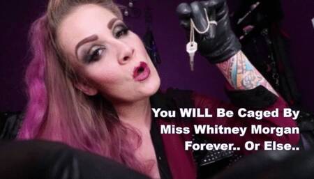 You Will Be Caged By Miss Whitney Morgan Forever Or Else - mp4