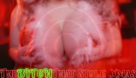 The Bitch That Stole Xmas