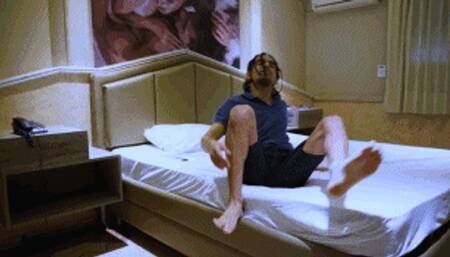 FACE STING PITBULL - PARADISE