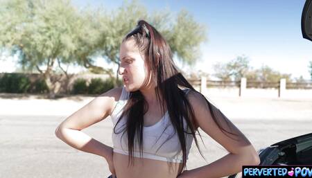 Stranded driver gets picked up for sex