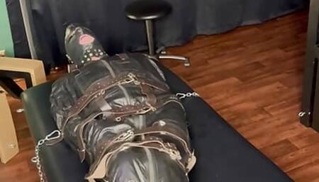 Hanna Engels - Martina's Compulsory Commitment