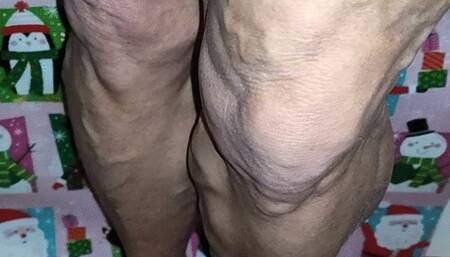 Miss Claus up close calves