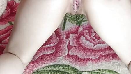 Privet_Shows