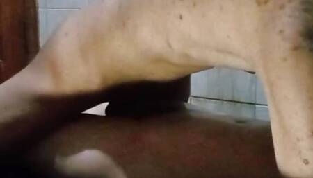 beautiful pussy hot and very wet very delicious