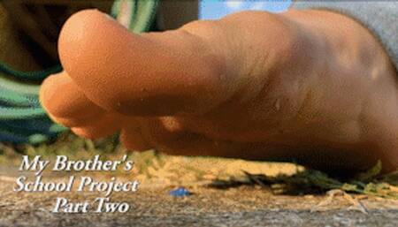 My Brother's School Project - Part Two - HD 720p Version