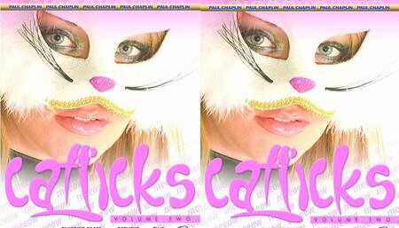 Delta White;Alexis Silver;Viktor Blizzard;Karlie Simon;Tracey Venus;Ian Tate;Tony James;Ebony Mystique;Jaimi Brooks;Steve Hooper;Paige Ashley;Jon Janes;Claudia Rossi;Melissa Black;Paul Chaplin