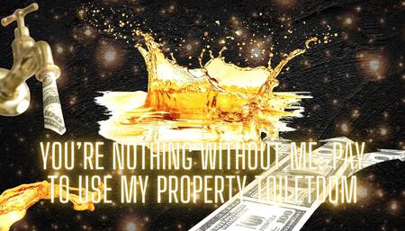 You're Nothing Without Me - Pay to Use My Property Toiletdom