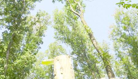 trailer_Mesmeriza_34_01_MOV_CINEMA_CLIP_543_20240902095301621