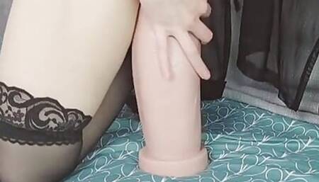 The Second Try Test with Mr.hankey's Xl Dildo