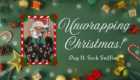 Unwrapping Christmas Day 11: Dirty Sock Sniffer