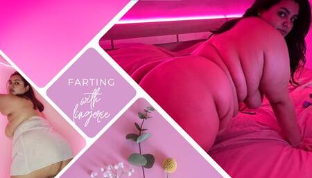 sexy lingerie farts