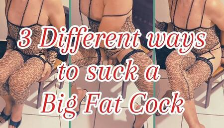 3 Different Ways to Suck a Big Fat Cock