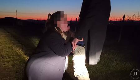 Blown off at sunset in the vineyard.