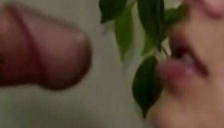 Hot Serena Satisfies Your Needs