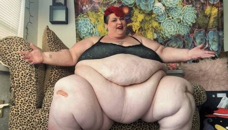 Did I get to 800? USSBBW Final Weigh-In of 2024! SD